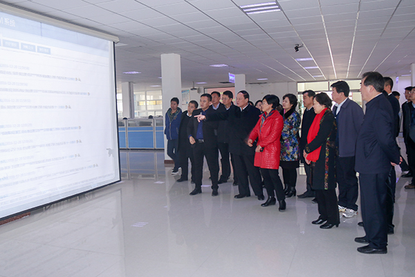 National Provincial and Municipal Peoples Congress Visited China Coal Group For Guiding